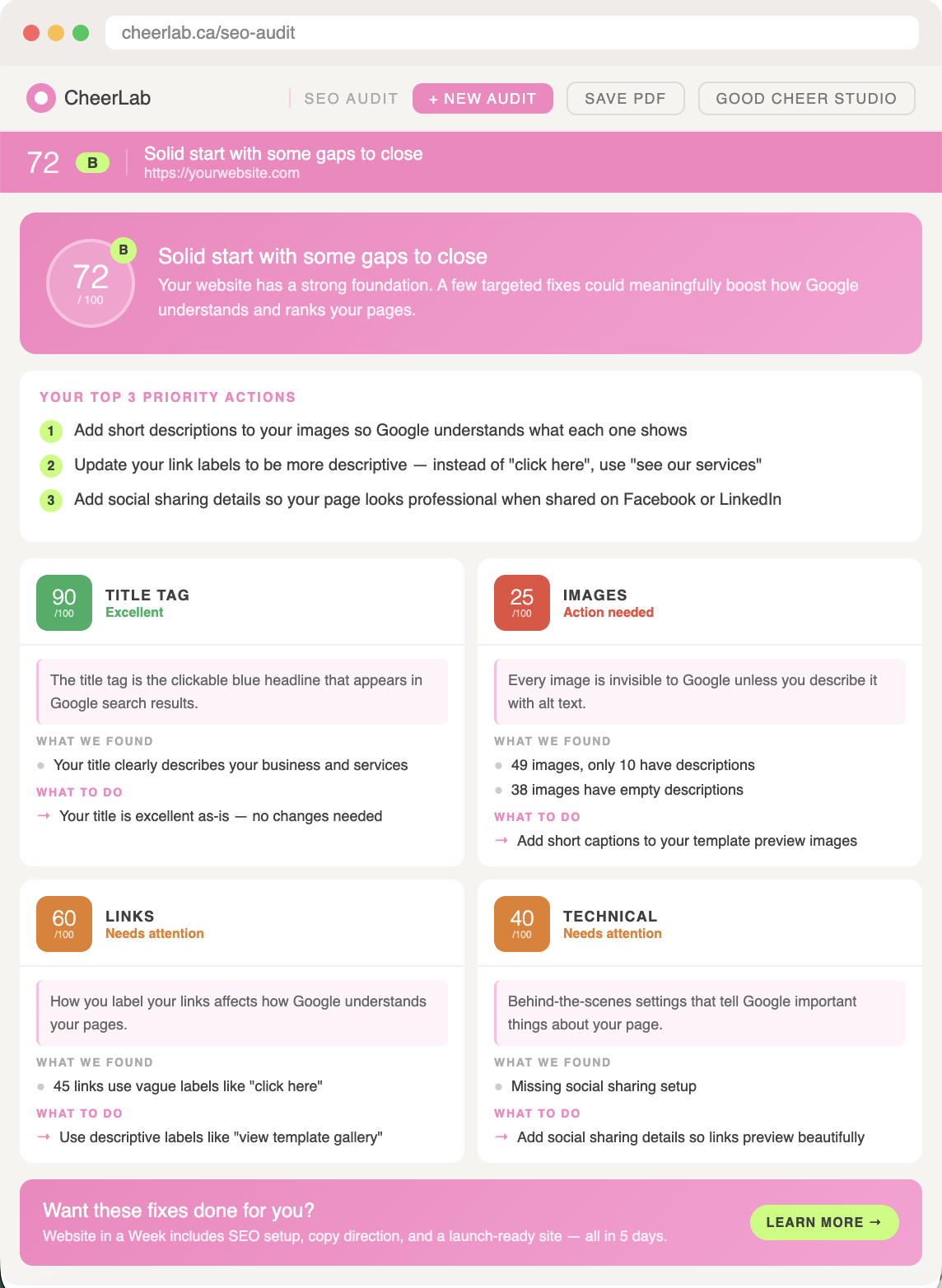 SEO Audit Tool preview